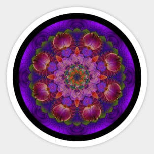 Mandala Magic - Daily Focus 12.31.2021 B Sticker